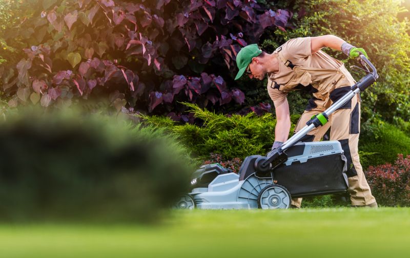 Lawn Clean Up Service