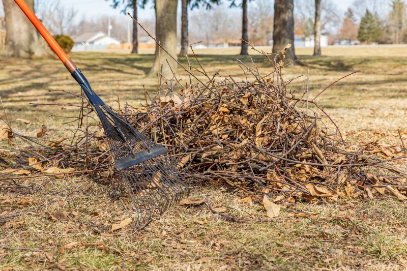 Spring Lawn Cleanup detail