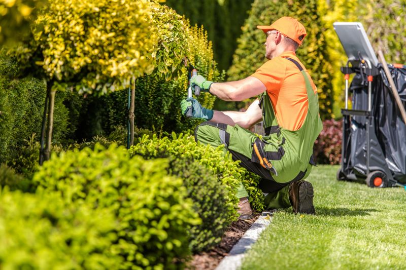 Safety in Yard Maintenance
