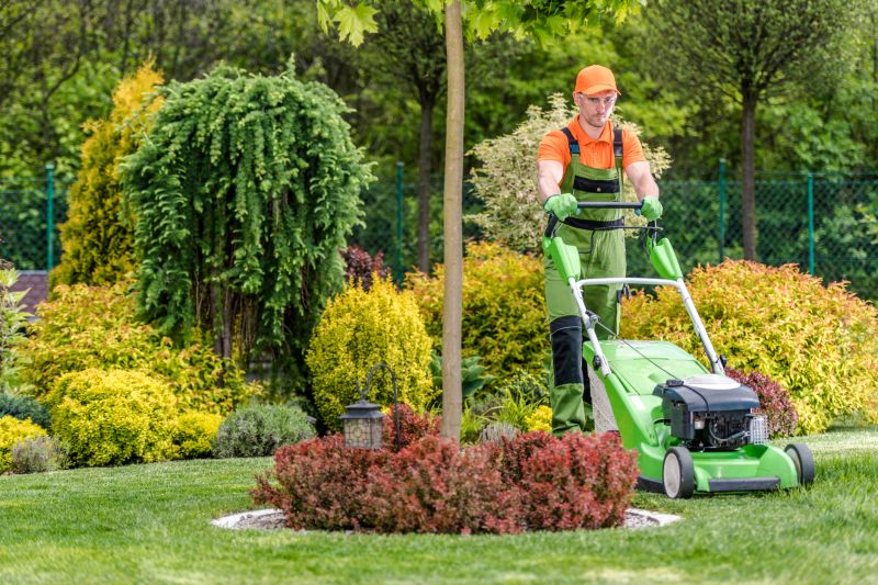 Full-Service Lawn Companies