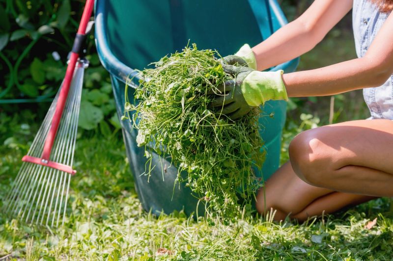 Seasonal Yard Cleanup Services