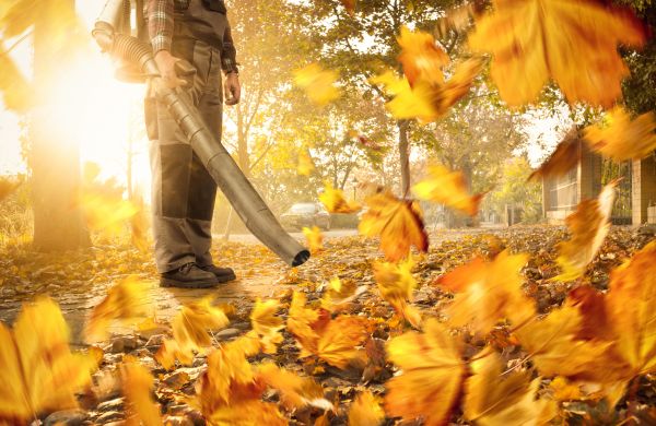 Cost of Leaf Blowing Service in Clovis