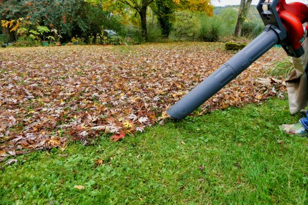 Cost of Leaf Vacuuming Service in Clovis