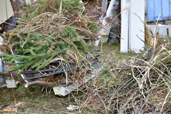Cost of Yard Debris Removal in Clovis