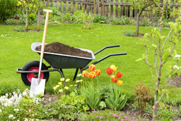 Cost of Spring Yard Cleanup in Clovis