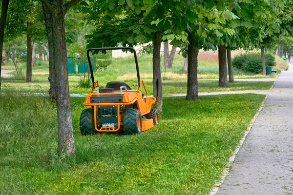 Cost of Landscaping Cleanup Service in Clovis