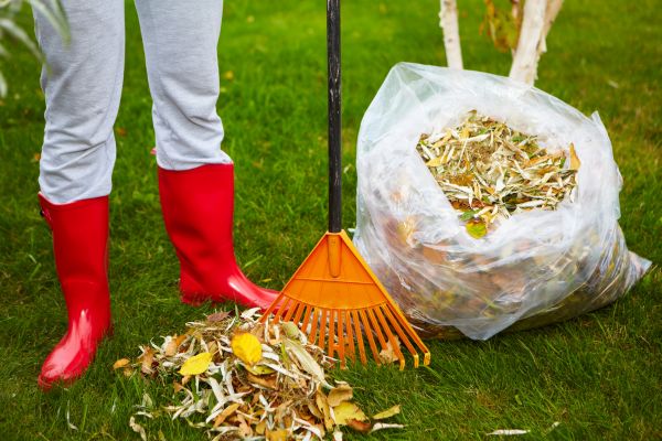 Cost of Leaf Disposal Service in Clovis