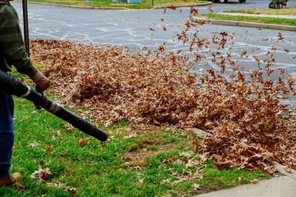 Cost of Garden Leaf Removal in Clovis