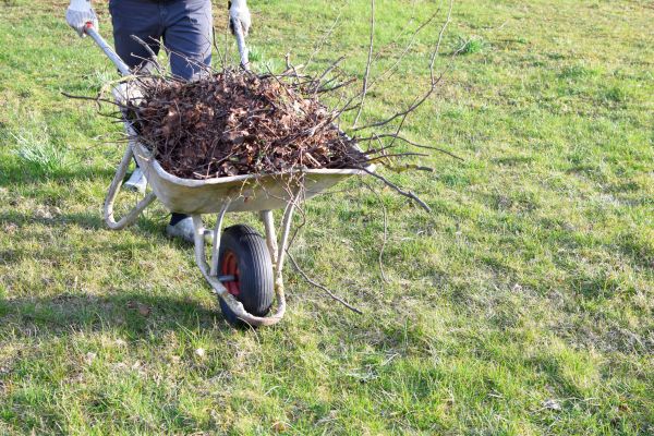 Cost of Yard Brush Removal in Clovis