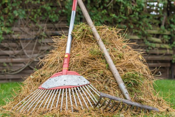 Cost of Pine Straw Clearing in Clovis