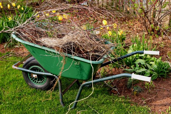 Cost of Lawn Waste Removal in Clovis