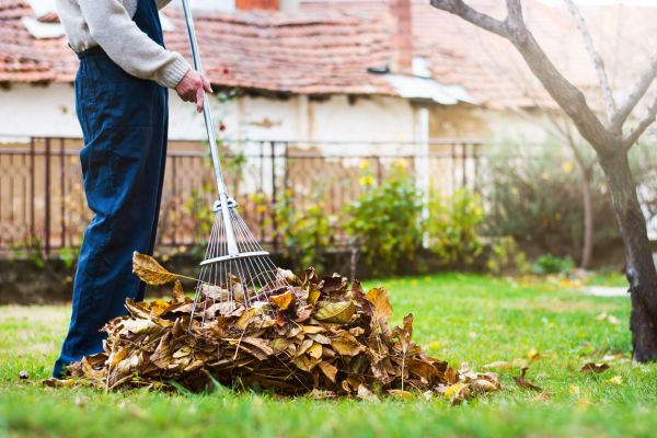 Cost of Fall Yard Cleanup Service in Clovis