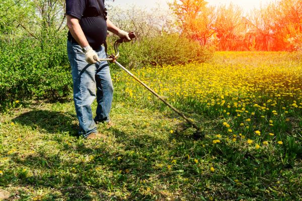 Cost of Yard Clearing Service in Clovis