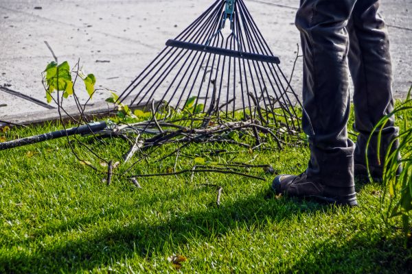 Cost of Yard Debris Cleanup in Clovis