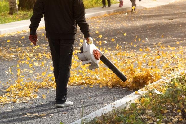 Cost of Commercial Leaf Removal in Clovis